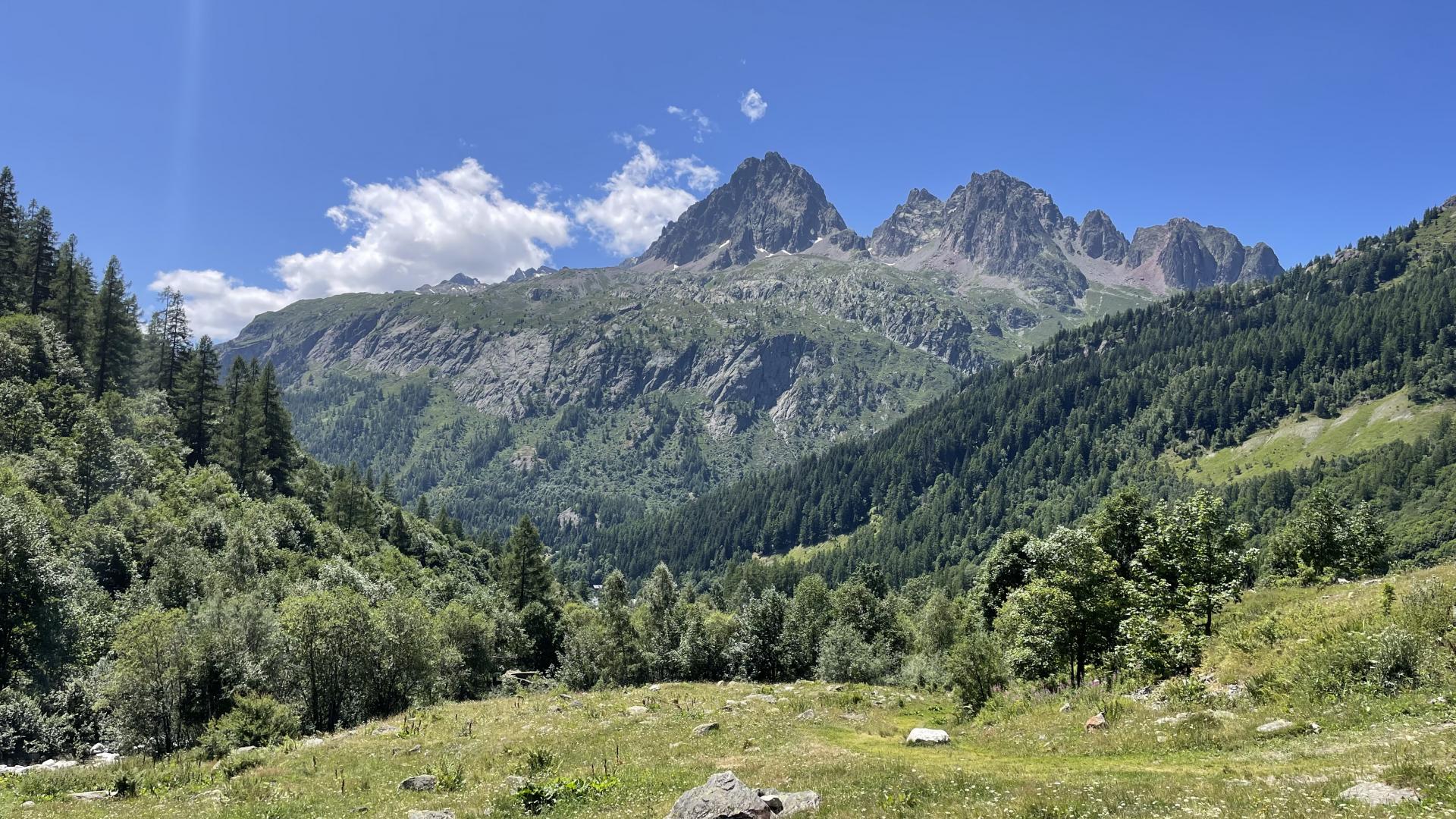 View from Le Tour hiking trail in Chamonix